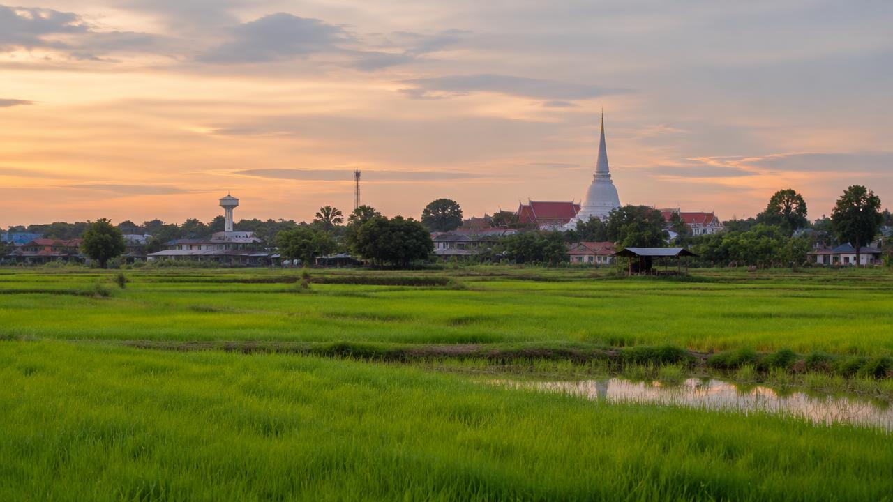 ทุ่งนาเขียวในชัยนาทยามเย็น มีเจดีย์สีขาวของวัดในตัวเมืองอยู่ไกลออกไป